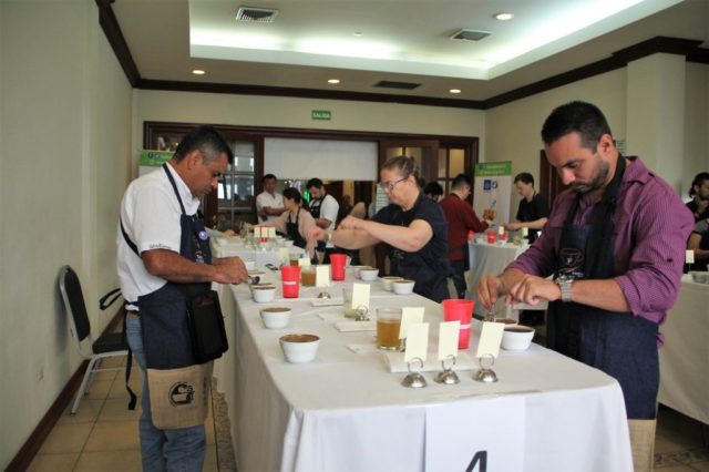 Les jurés jury du Cup of Excellence El Salvador 2019. 