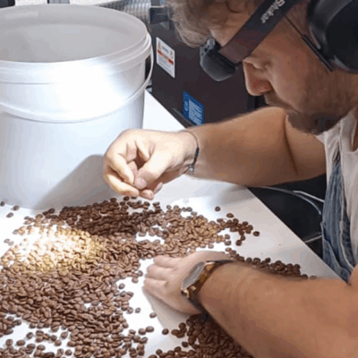 jonathan le pautremat