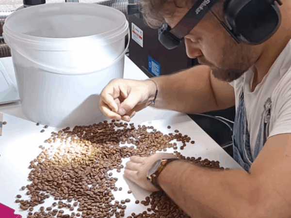 jonathan le pautremat